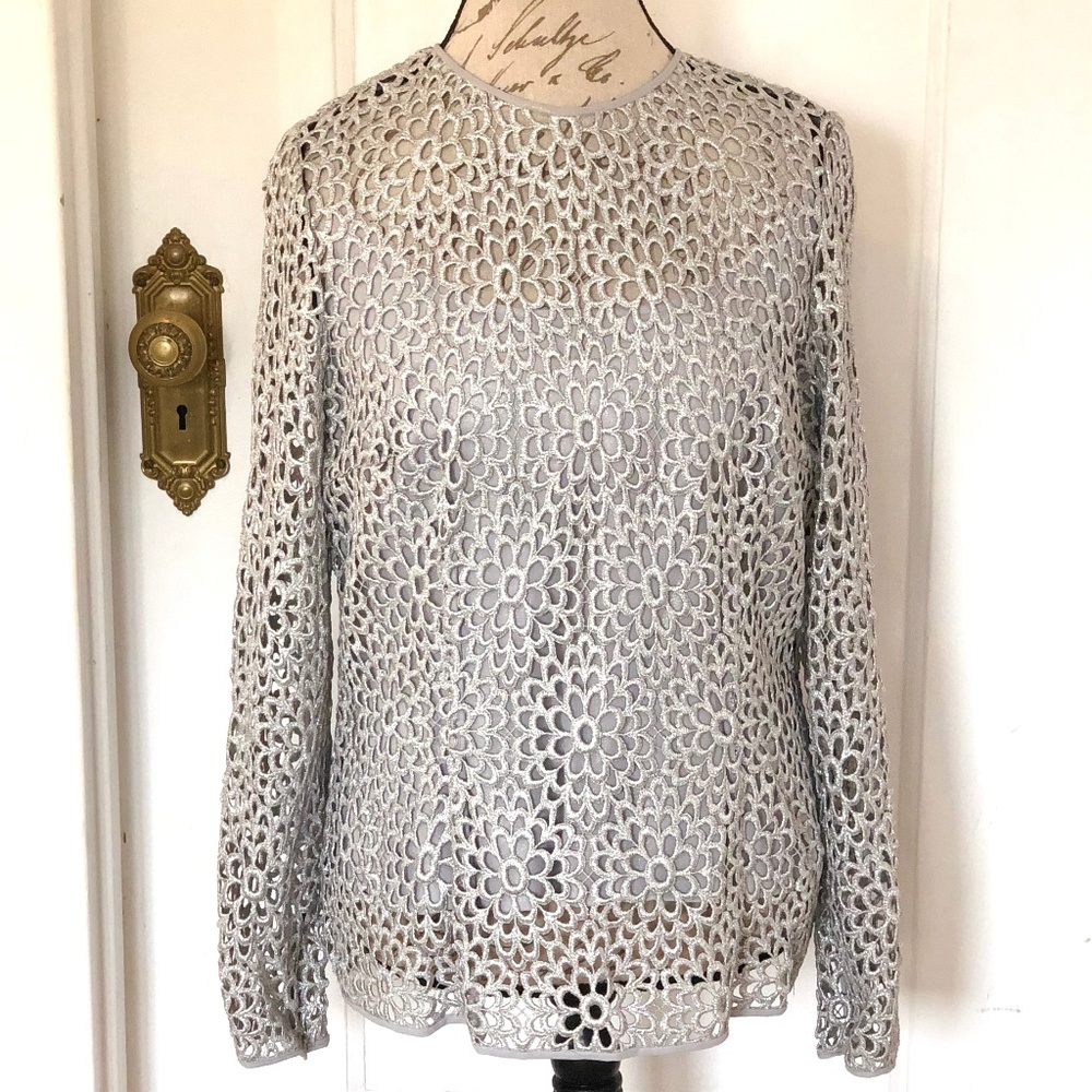 Host Pick! Carmen Marc Valvo Silver Formal Top size 14